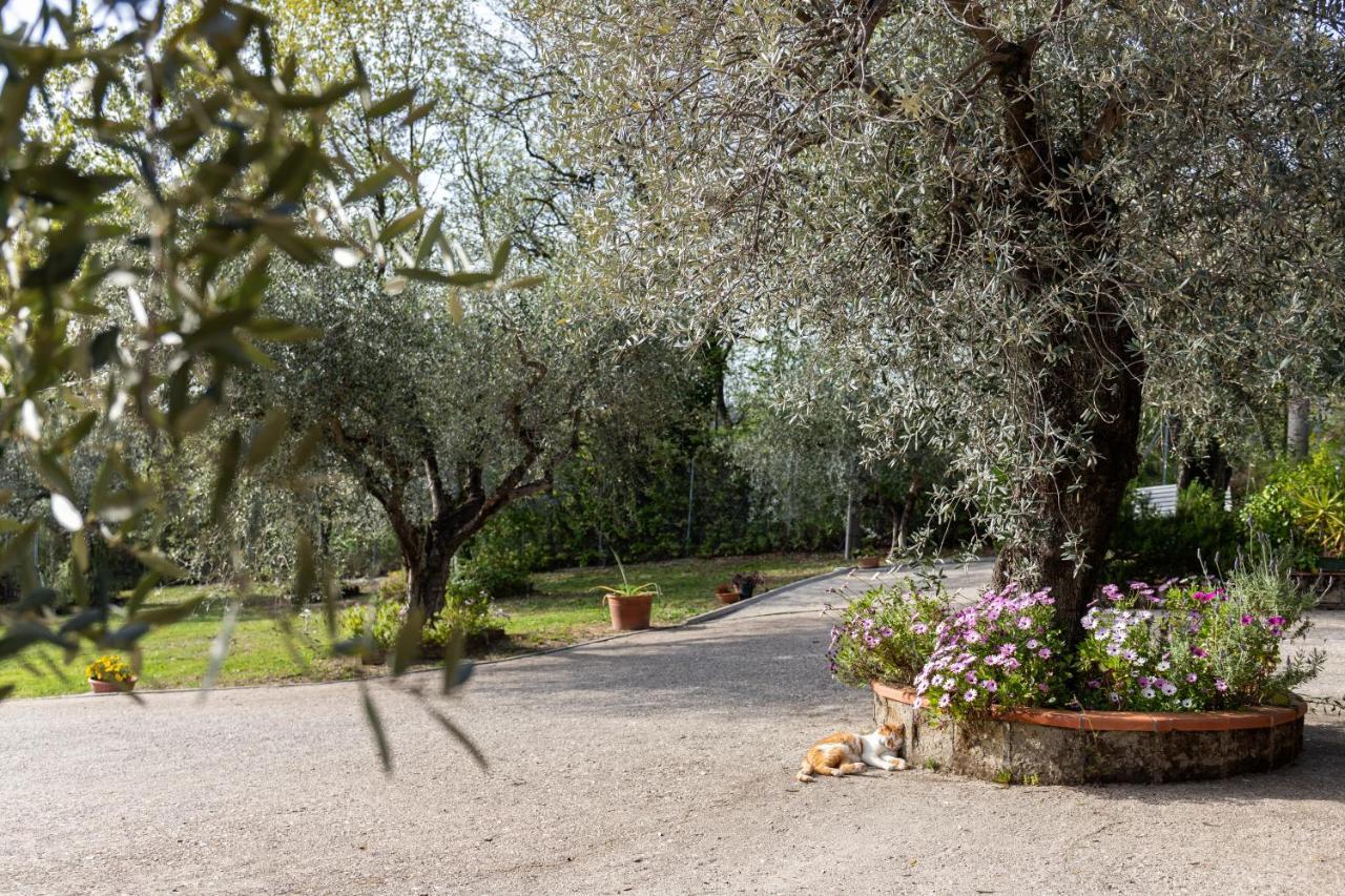La Tana Delle Stelle B&B Di Charme E Relax 法拉因萨比纳 外观 照片