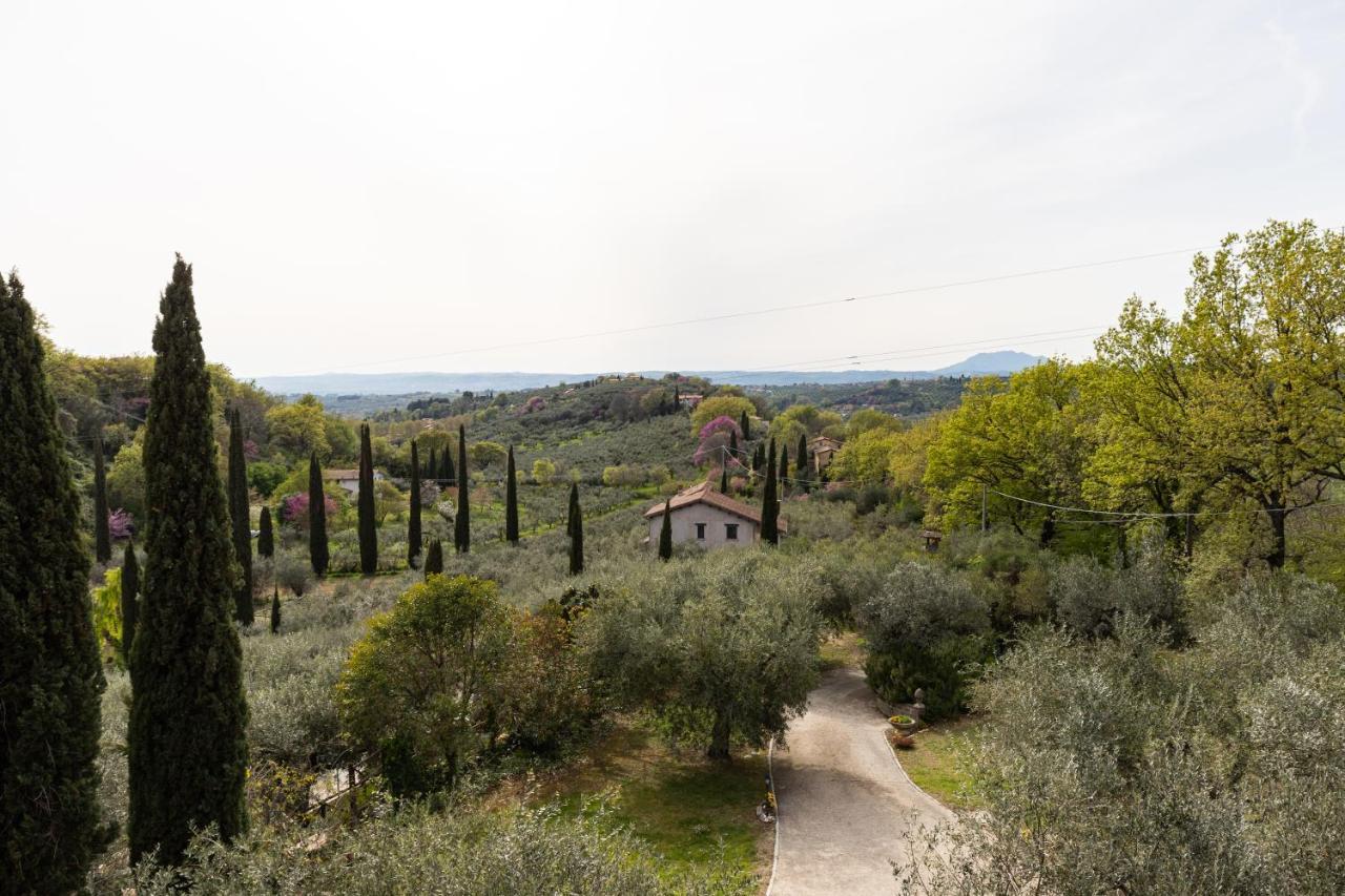 La Tana Delle Stelle B&B Di Charme E Relax 法拉因萨比纳 外观 照片