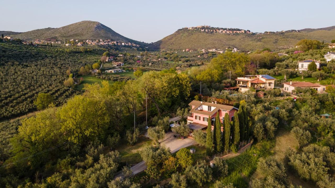 La Tana Delle Stelle B&B Di Charme E Relax 法拉因萨比纳 外观 照片