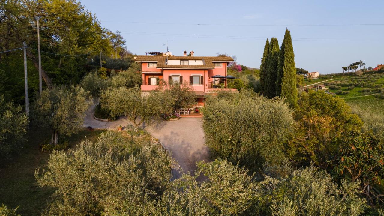 La Tana Delle Stelle B&B Di Charme E Relax 法拉因萨比纳 外观 照片