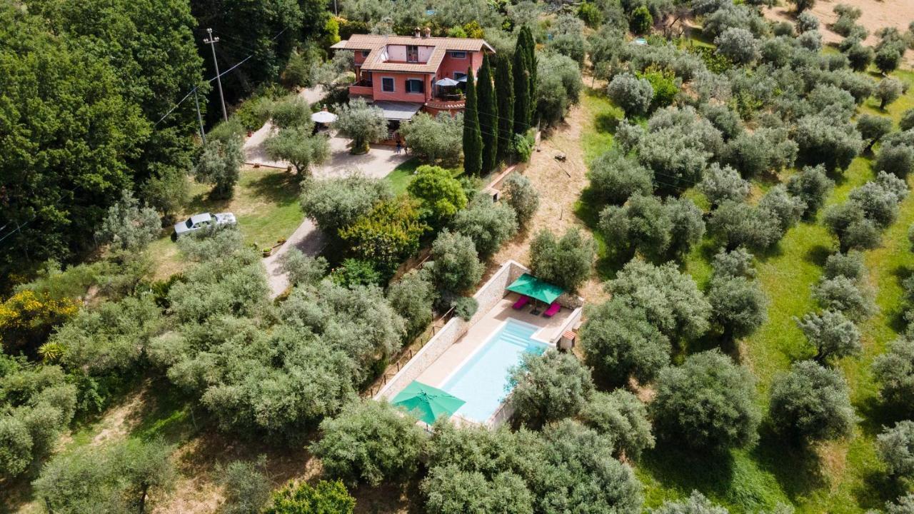 La Tana Delle Stelle B&B Di Charme E Relax 法拉因萨比纳 外观 照片