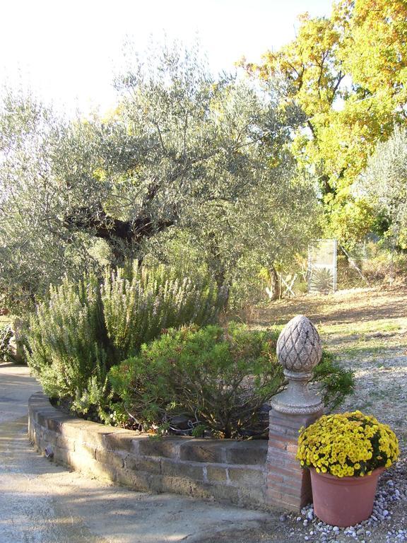 La Tana Delle Stelle B&B Di Charme E Relax 法拉因萨比纳 外观 照片